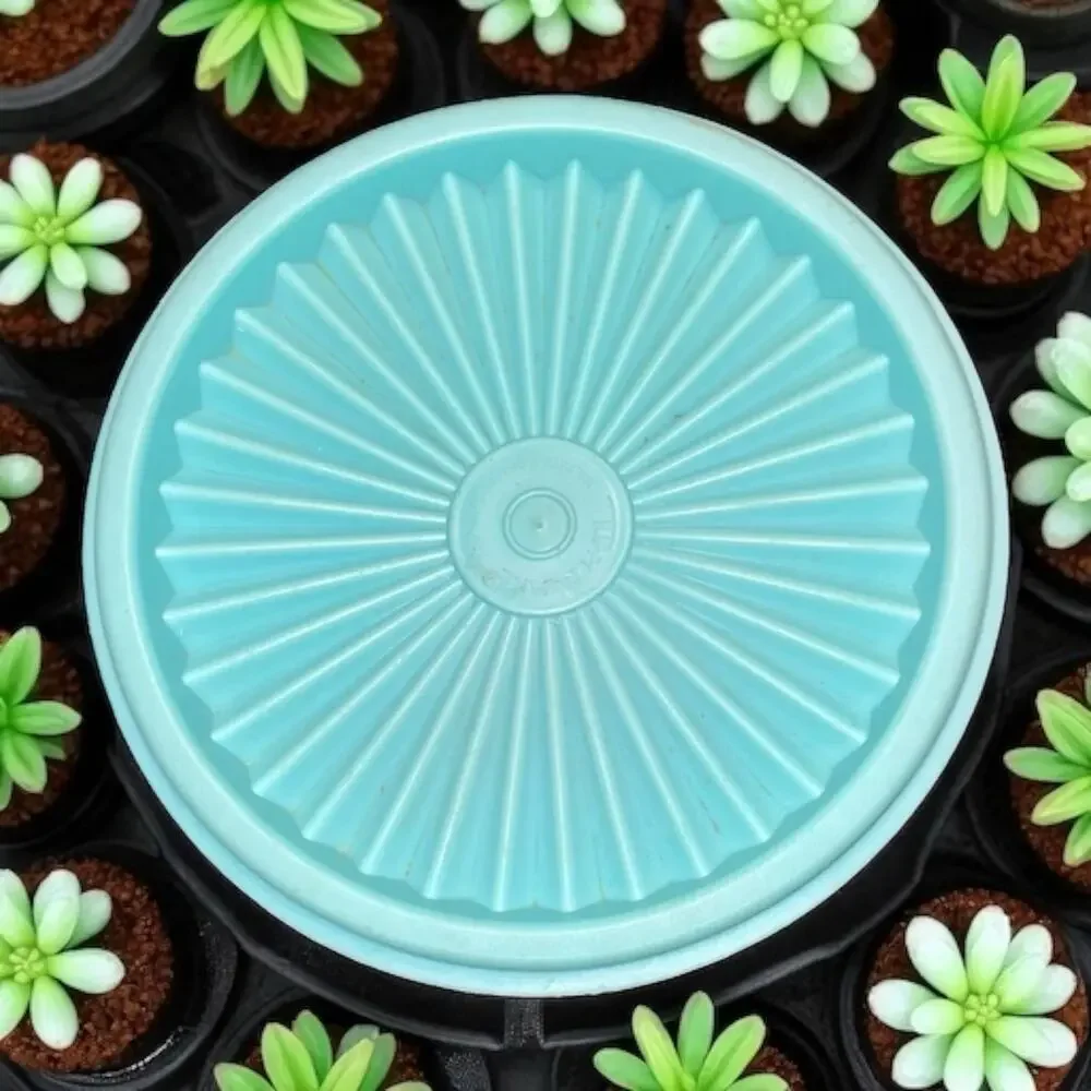 Tupperware Servalier Starburst Lid 5